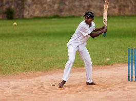 Cricbet99 Is Becoming the Daily Go-To Platform for Online Fun cricbet99