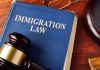 Your Timeline vs The Immigration Timeline: Why They Don’t Always Match Immigration Attorney Near Me