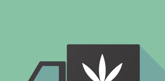 The Rise of Cannabis Beverages cannabis drinks in Toronto