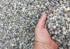 Why Do Property Owners Compare Different Gravel for Sale Options? gravel delivery near me