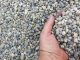 Why Do Property Owners Compare Different Gravel for Sale Options? gravel delivery near me