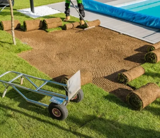 3 Best Budget-Friendly Sod Installation Services Nearby sod installation near me