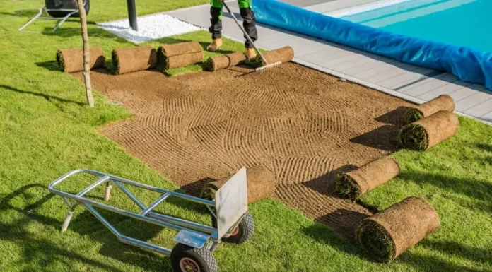 3 Best Budget-Friendly Sod Installation Services Nearby sod installation near me