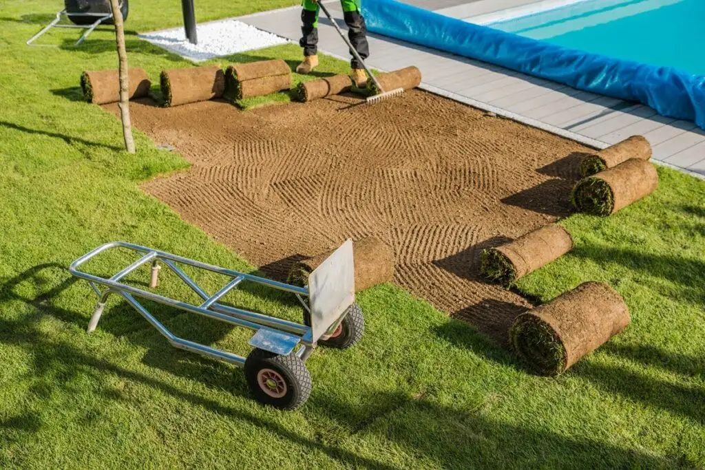 sod installation near me sod installation near me