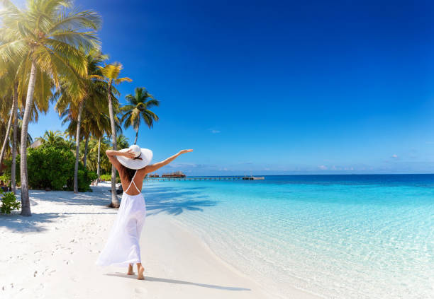 island travel packages island travel packages