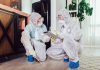 What to Expect When You Hire a Professional Bed Bug Exterminator bed bug exterminator