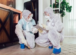 What to Expect When You Hire a Professional Bed Bug Exterminator bed bug exterminator