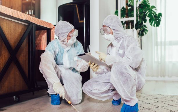What to Expect When You Hire a Professional Bed Bug Exterminator bed bug exterminator