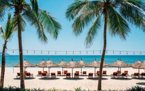Da Nang, Vietnam: Discover the Perfect Blend of Coastal Beauty, Luxury, and Unforgettable Experiences vietnoblesse.com